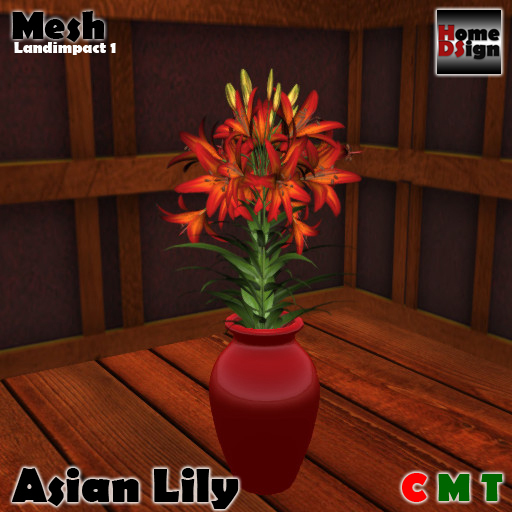 HDs-small potted red flower