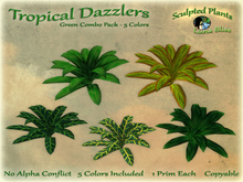 Tropical Dazzlers Green Combo Pack (boxed)