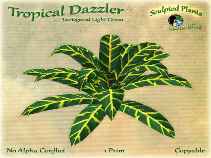 Tropical Dazzler - Variegated Light Green (boxed)