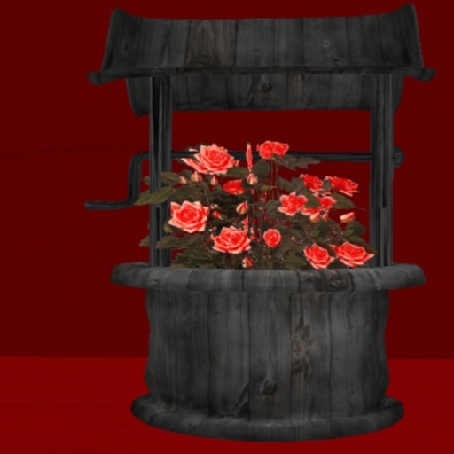Saucy's Red Roses  Wishing  Well