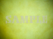 Pared translúcida 10 - Single COMPLETO PERMS textura