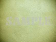 Pared translúcida 9 - Single COMPLETO PERMS textura