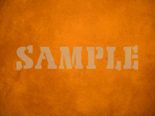 Pared translúcida 7 - Single COMPLETO PERMS textura