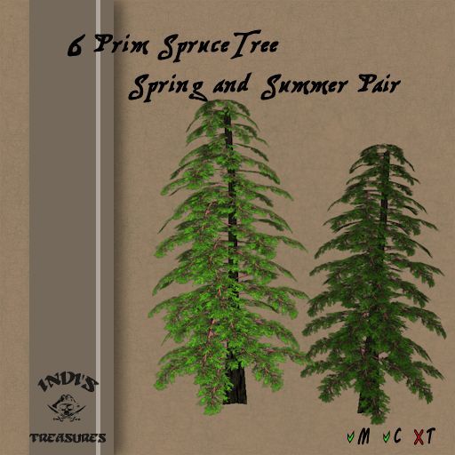 .: IT :.  2 PRIM TREE - YELLOW MAPLE - BOXED -