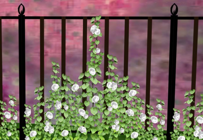 Fence Railing with Morning Glories 5