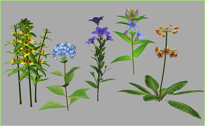 Plants Mesh - Collection