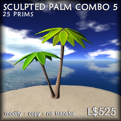 Palm Tree