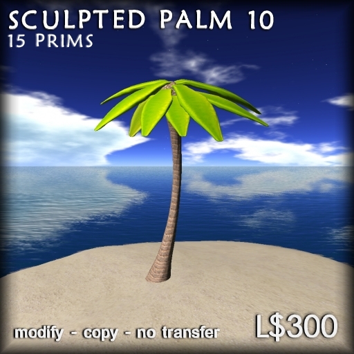 Palm Tree