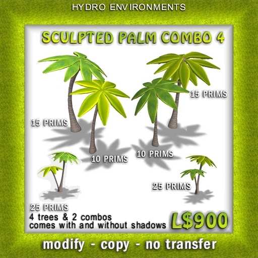 Palm Tree
