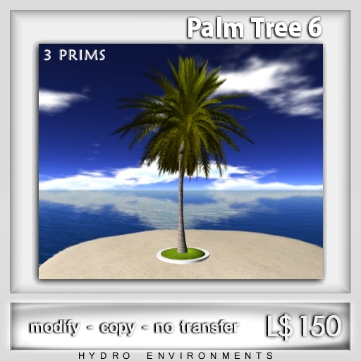 Palm Tree