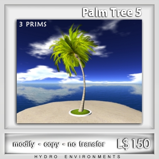 Palm Tree