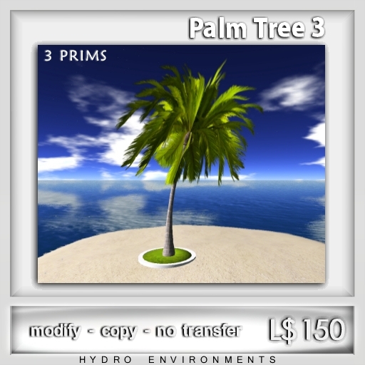 Palm Tree