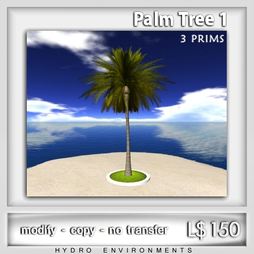 Palm Tree
