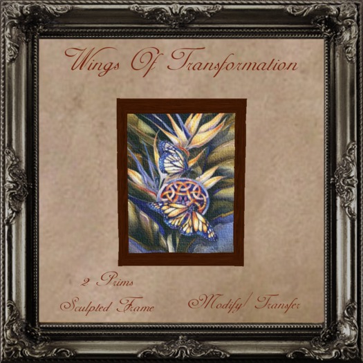 Wings Of Transformation