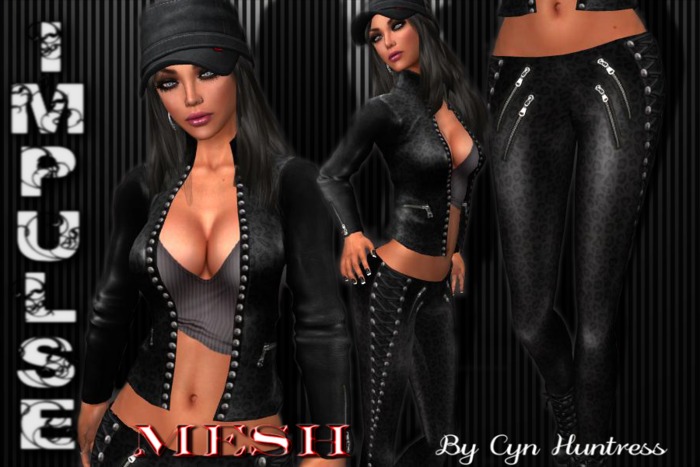 *CYN* WILD CAT (MESH)