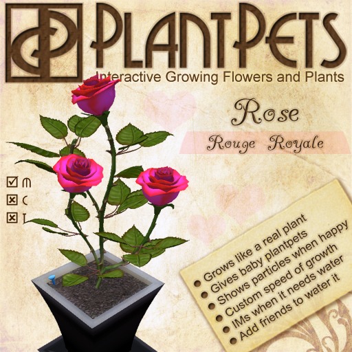 PlantPet Seed [Rose *Rouge Royale*] *RARE*