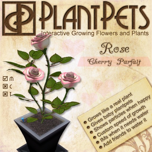 PlantPet Seed [Rose *Cherry Parfait*]
