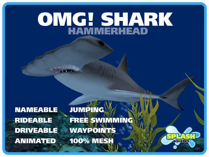 OMG! Shark - Hammerhead