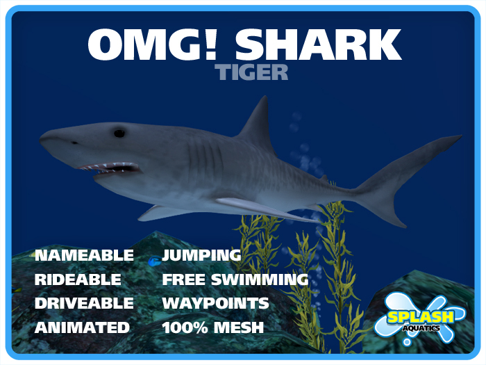 OMG! Shark - Tiger