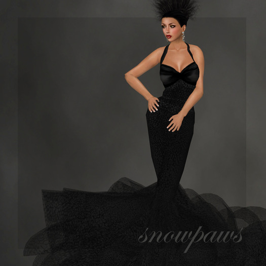 Snowpaws - Felin Jet Gown