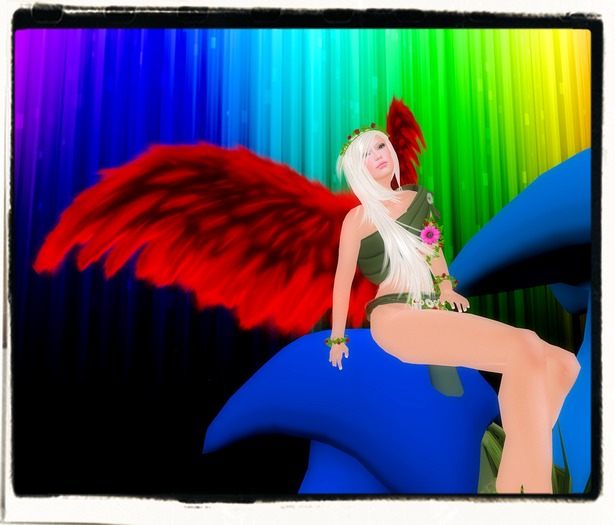 Ed-Wings Red Feathers