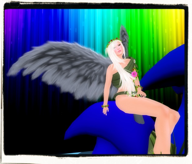 Ed-Wings Black Feathers