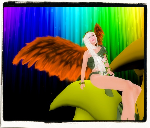 Ed-Wings Orange Feathers