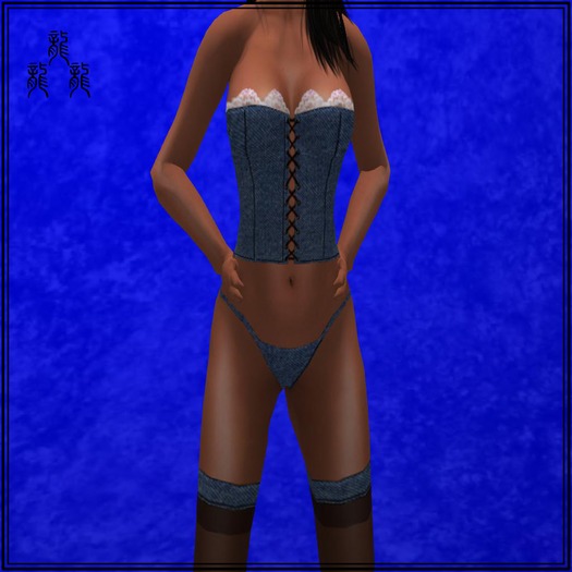 Denim Roses Corset (PG)