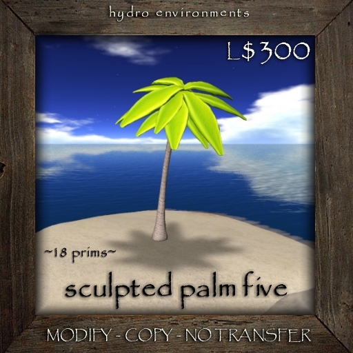 Palm Tree