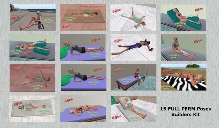 15 FULL PERM POSES BUILDERS KIT