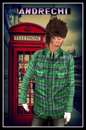"=AnDreChi=" Check Shirts_mesh_green