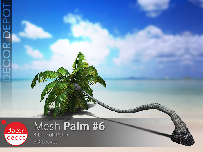 [DD] - FULL PERM  Palm #6