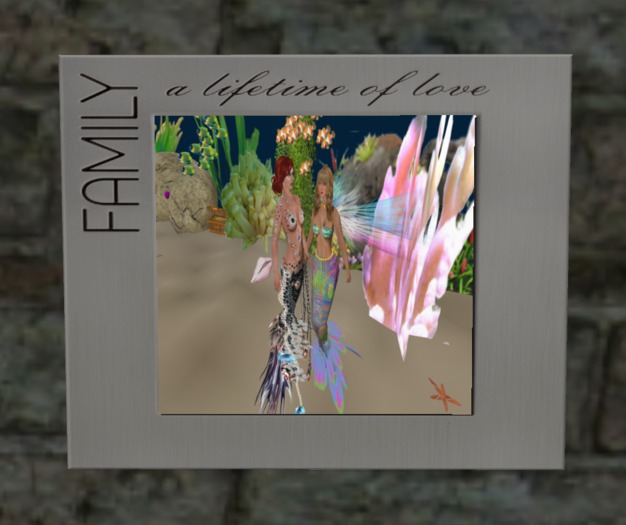 Family A Lifetime Of Love Slideshow Frame