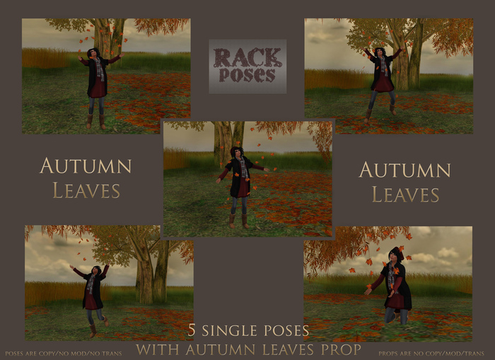 RACK Poses - Autumn Leaves