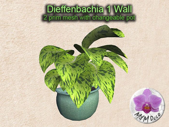 Mesh Plant Dieffenbachia 1 Wall