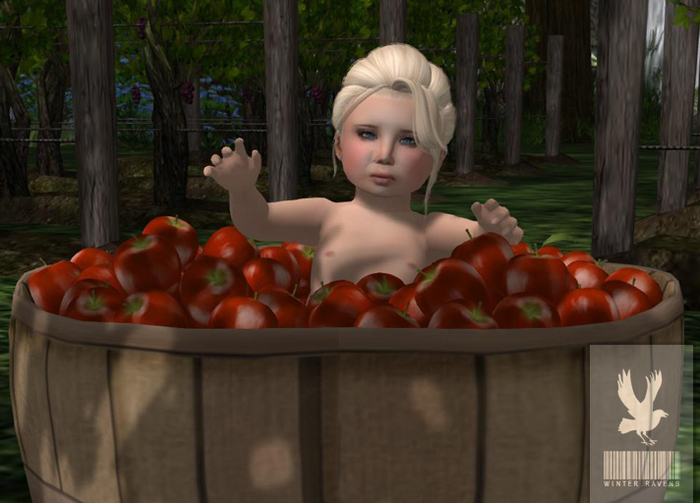 Winter Ravens : Apple Baby! Red