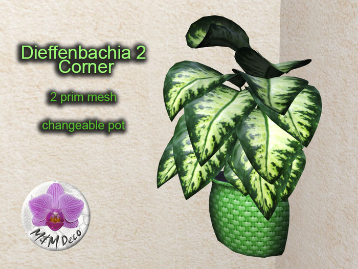Mesh Plant Dieffenbachia 2 Corner