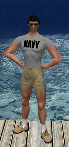 Gray Navy T-Shirt