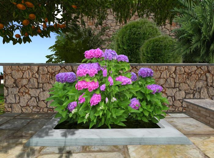 Hydrangea pink&violet bed v.2 (mk)