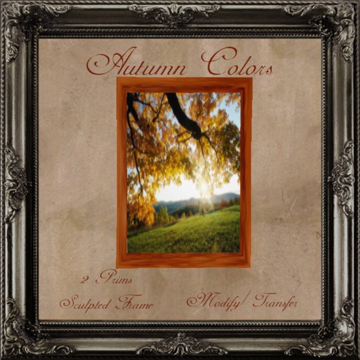 Autumn Colors 