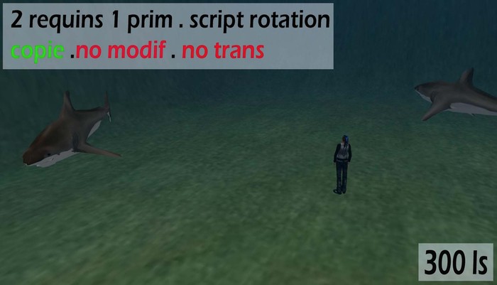 2 requin 1 prims