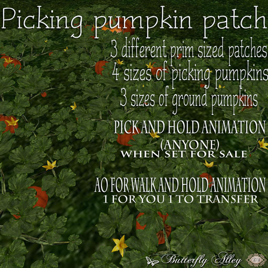 ~Butterfly Alley~ " THE ORIGINAL ANIMATED* Picking pumpkin patch