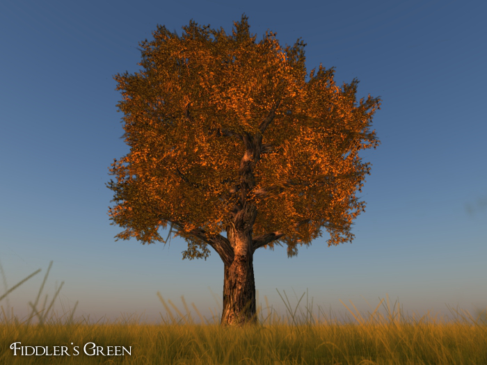 FG Tree 26 autumn DEMO (COPY)