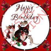 HBF82 Happy Birthday (Wear Me)