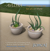 [CIRCA] - "Avlona" Tropical Planter Set of 2 / Shore ~ DISCOUNTED 50% Off  