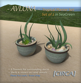 [CIRCA] - "Avlona" Tropical Planter Set of 2 / SeaGreen ~ DISCOUNTED 50% Off  
