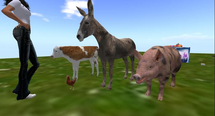 farm animals (Boxed)