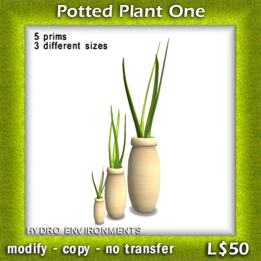 Plant