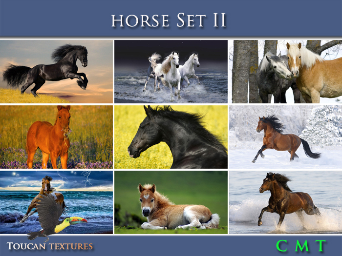 [Toucan Textures] Horse Set II