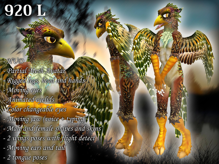 Gryphon natural furry avatar by BFD